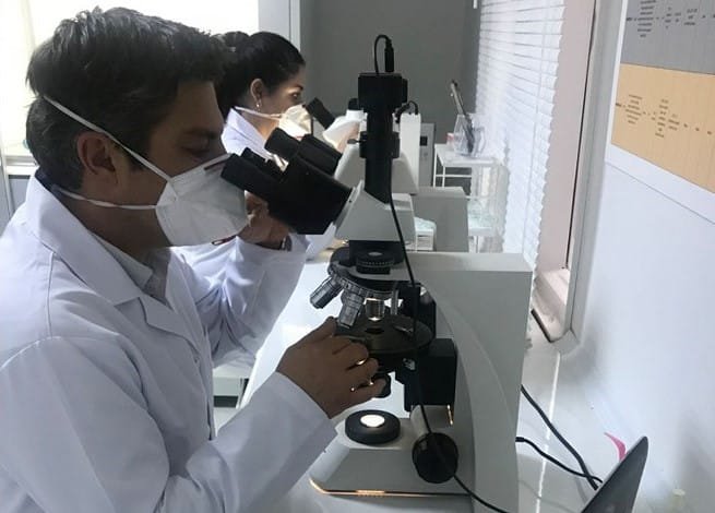 Asbest raporu hazırlamak için asbest analizi yapan bir asbest laboratuvarı personeli